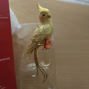 Beauty of Birds Clever Cockatiel